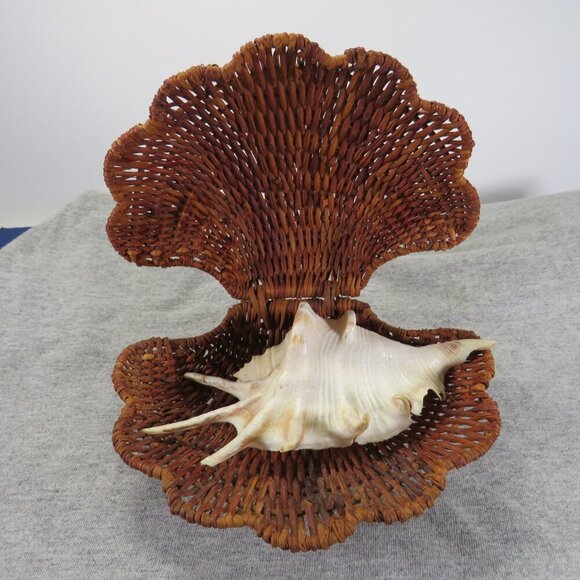 Wicker Basket Clam Shell & Spider Conch Sea Shell - Picture 1 of 13